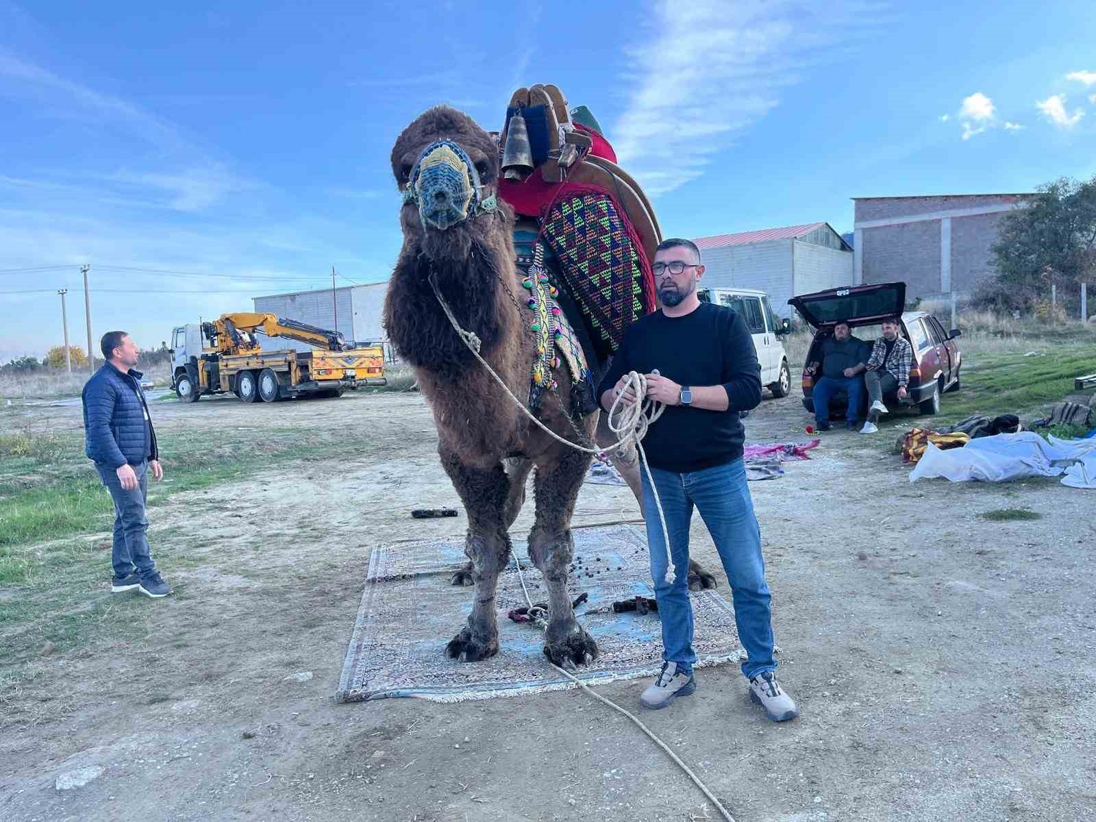 Şampiyon devenin havudu dualarla takıldı
