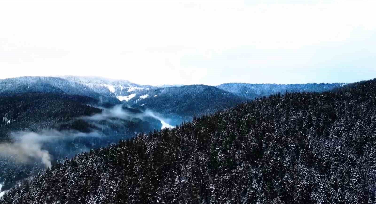 Beyaza bürünen Ilgaz Dağı havadan görüntülendi