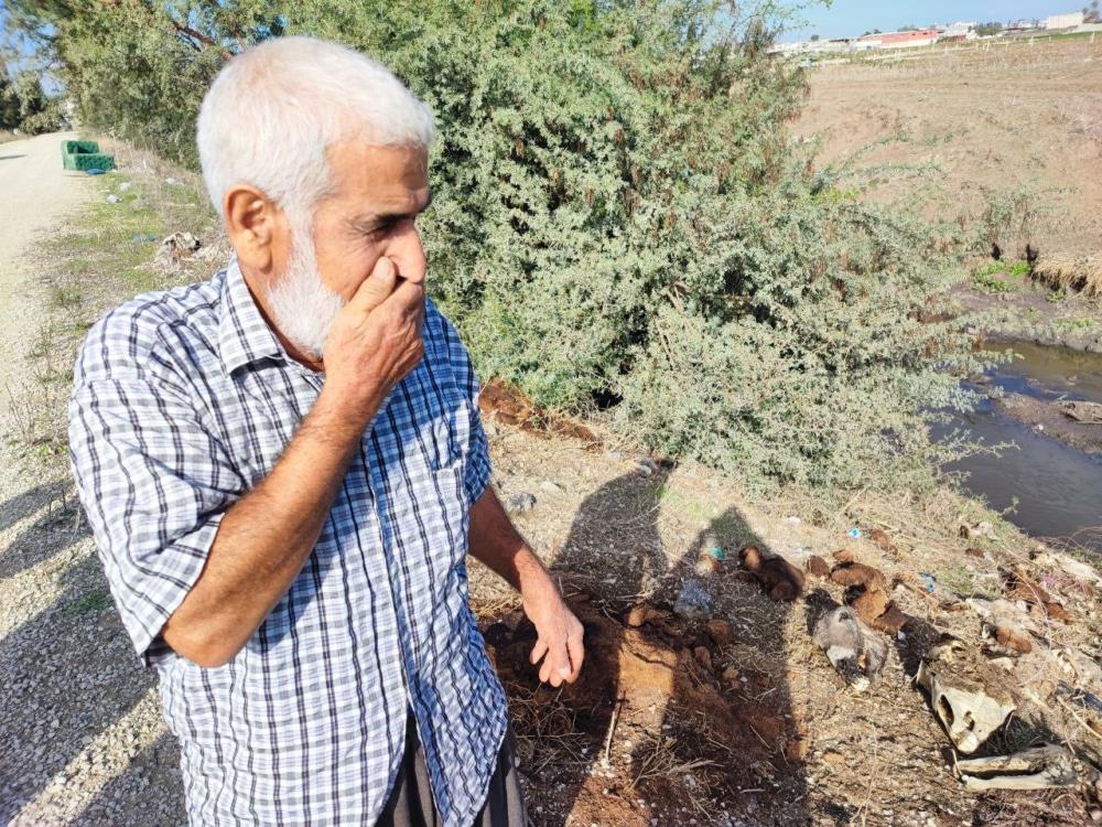 Adana’da dere yatağına yine at ve eşek kalıntıları atıldı: Mahalle sakinleri tepki gösterdi