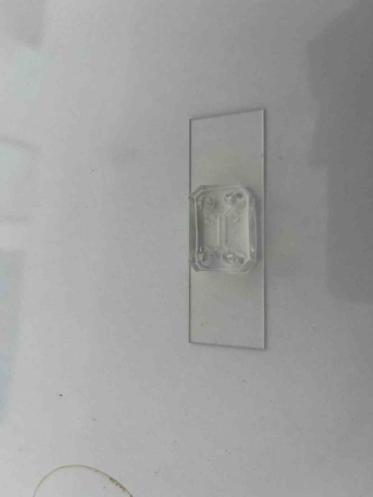 Parkinson’da bağırsak- beyin iletişimi çip üstü organ teknolojisiyle araştırılıyor
