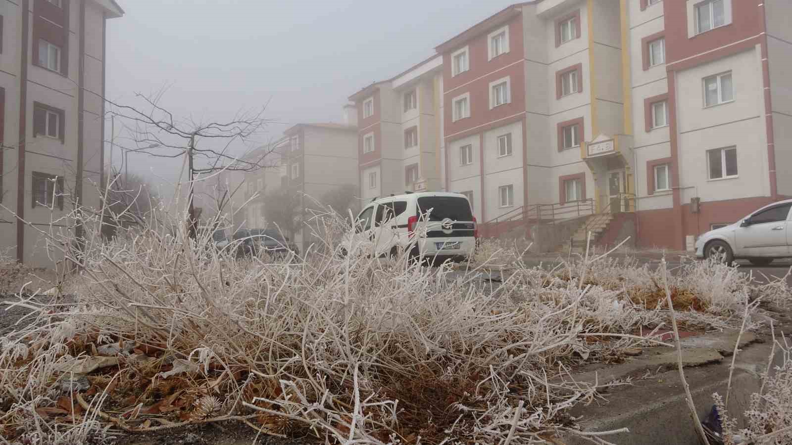 Bitlis’te sis ulaşımı olumsuz etkiledi

