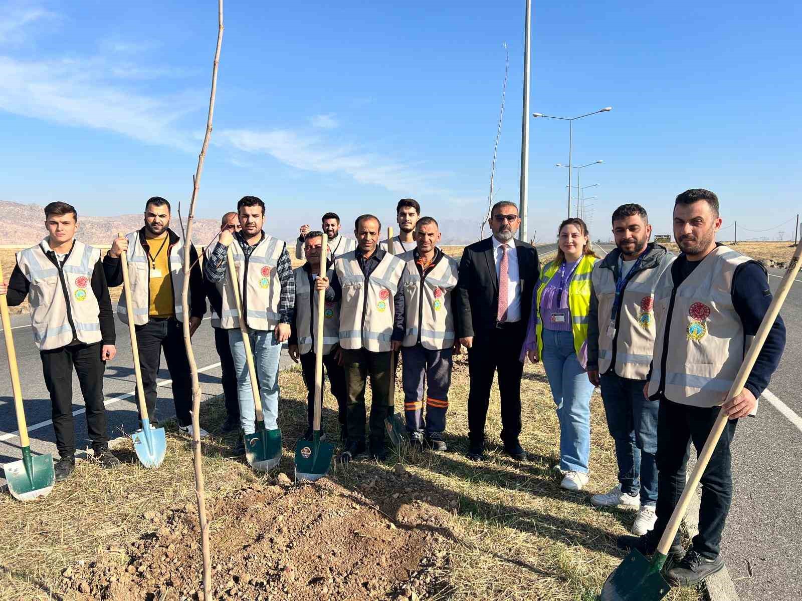 Cizre&rsquo;de havalimanı yolu 450 fidan ile yeşilleniyor
