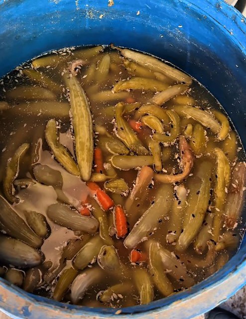 Dönerciden kurtlu salça ve turşu çıktı