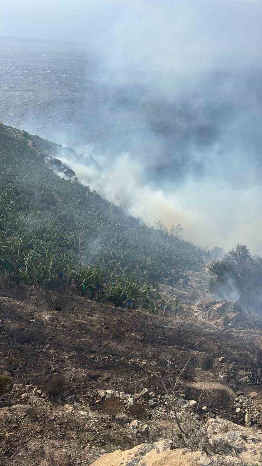 Antalya&rsquo;da muz bah&ccedil;esinde yangın
