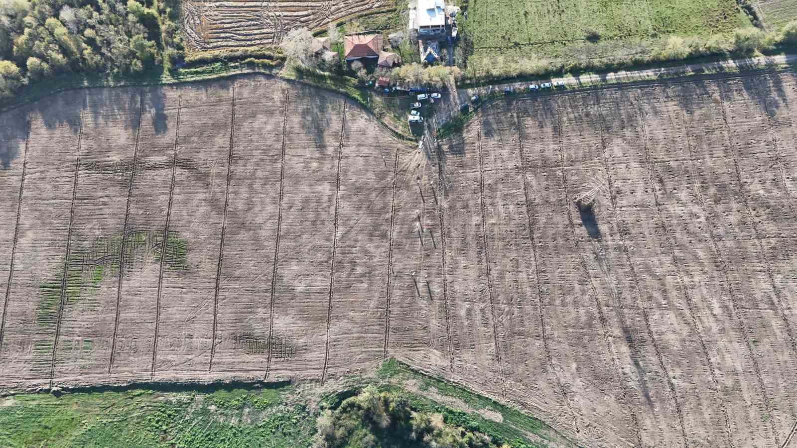 Karadeniz&rsquo;in en b&uuml;y&uuml;k incir projesi: 50 milyon TL gelir kız &ccedil;ocuklarına verilecek
