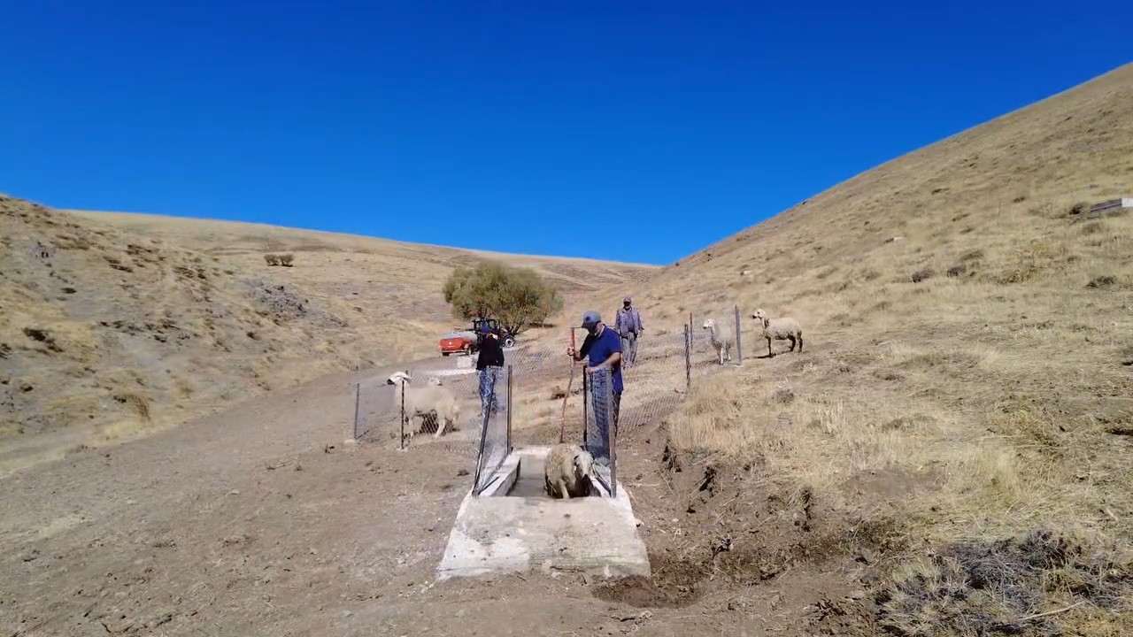Niğde&rsquo;de meralara yeni hayvan i&ccedil;me suyu alanı kazandırıldı
