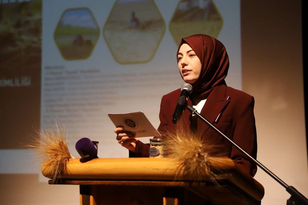 B&ouml;lgenin değeri: Ardahan Kavılcası
