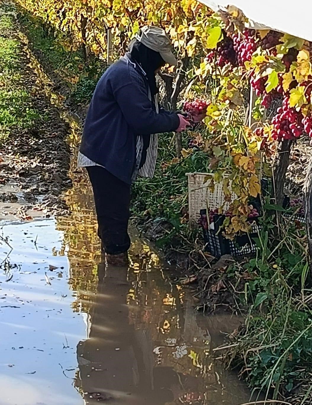İş&ccedil;iler yağmur ve &ccedil;amuru aldırış etmeden &uuml;retime devam ediyor
