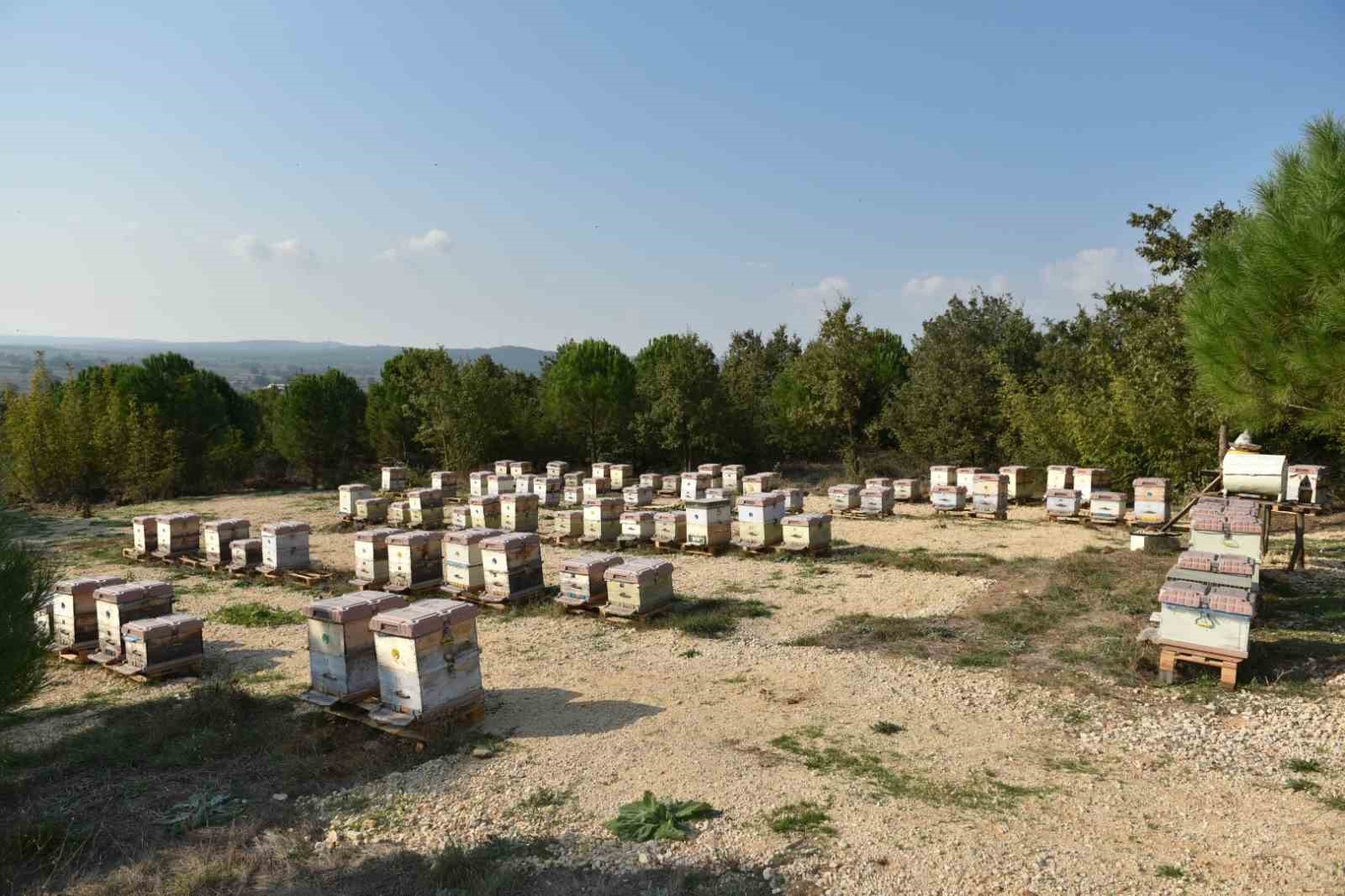 Yılda 10 ton &uuml;retiliyor, 100 ton sahtesi satılıyor
