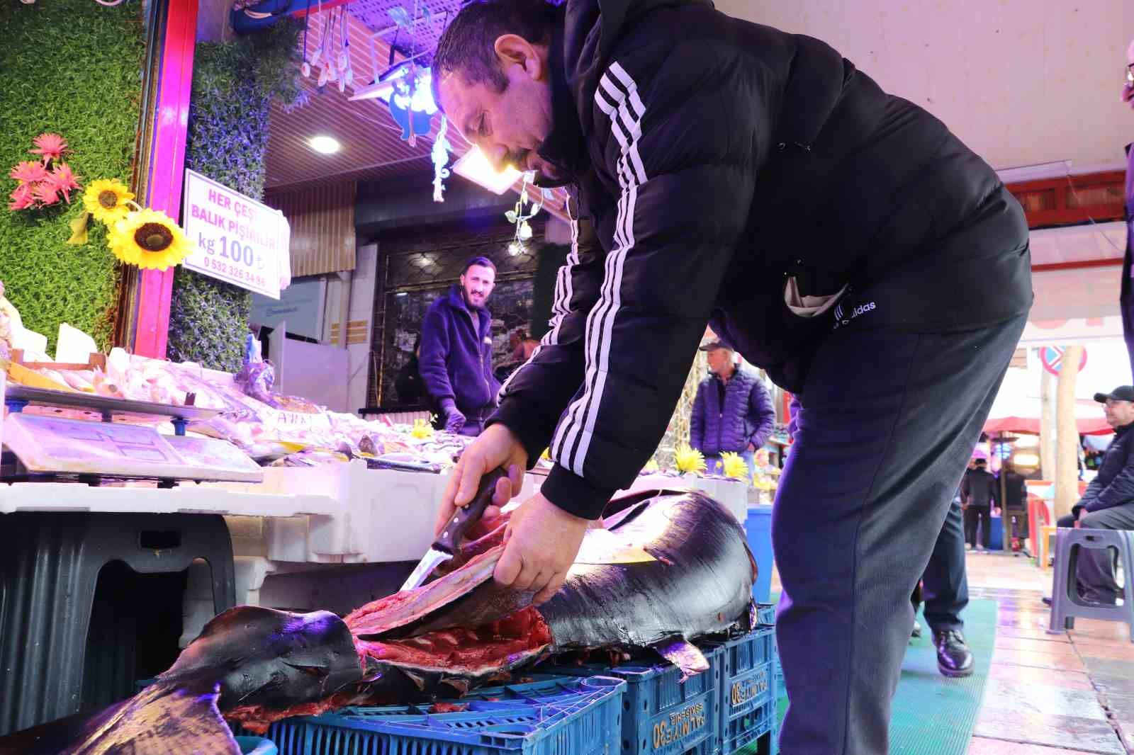 280 kiloluk orkinos vatandaşları hayrete d&uuml;ş&uuml;r&uuml;yor
