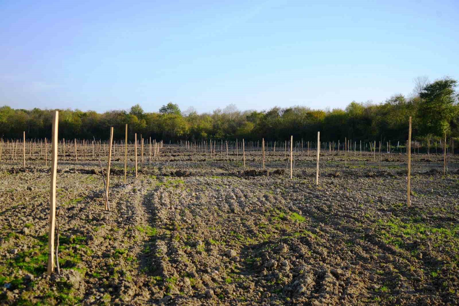 Başkan Candal: "Tasarrufla kaynak &uuml;retiyor, sosyal projeleri b&uuml;y&uuml;t&uuml;yoruz"
