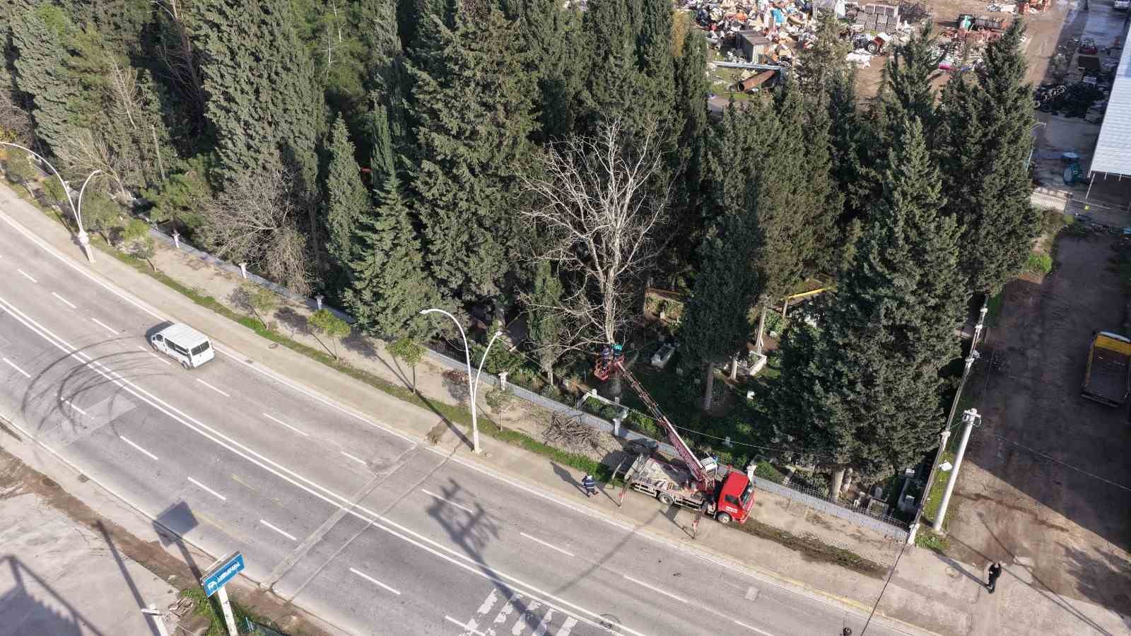 Başiskele&rsquo;de budanan ağa&ccedil; dalları ihtiya&ccedil; sahiplerine yakacak oluyor
