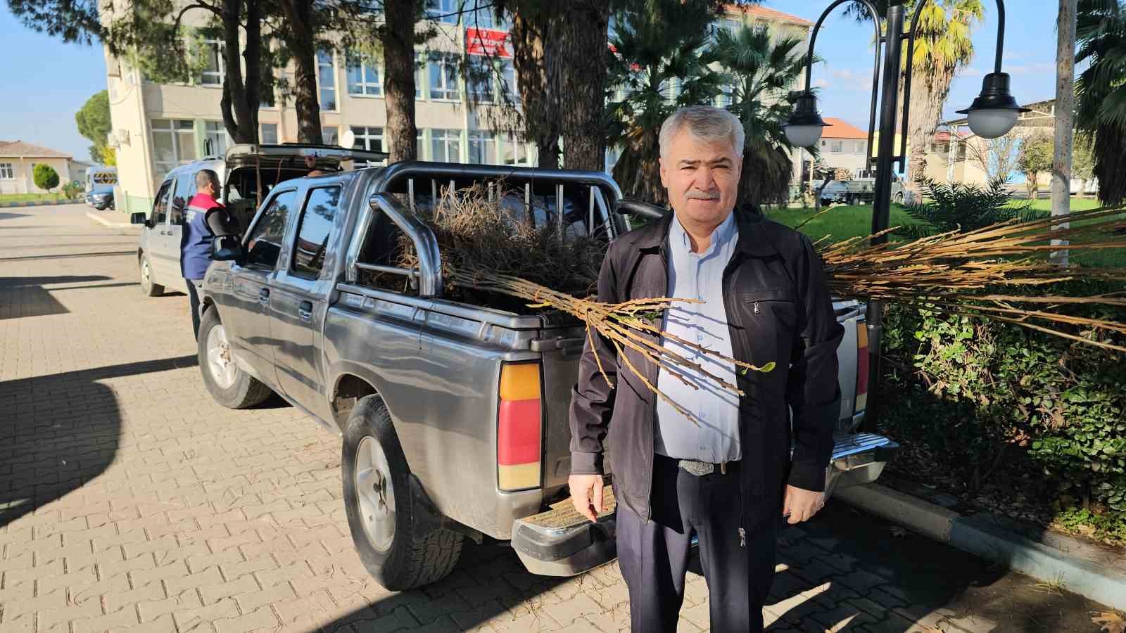 Aydın dağları sağlıklı kestane ağa&ccedil;larıyla donatılıyor
