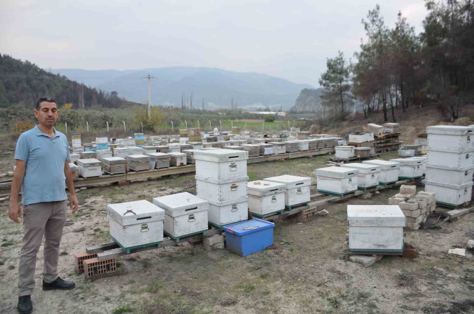 Ana arı &uuml;retiminde b&uuml;y&uuml;k başarı: Bir arı kovanıyla hobi olarak başladı, şimdi T&uuml;rkiye&rsquo;nin her yerine koloni g&ouml;nderiyor
