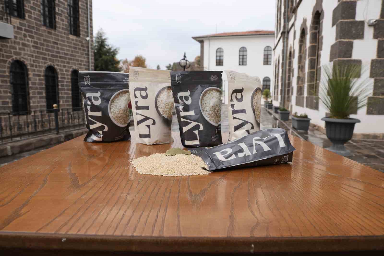 Volkanik arazide yetiştirilen Karacadağ pirinci zengin mineral oranıyla dikkat &ccedil;ekiyor
