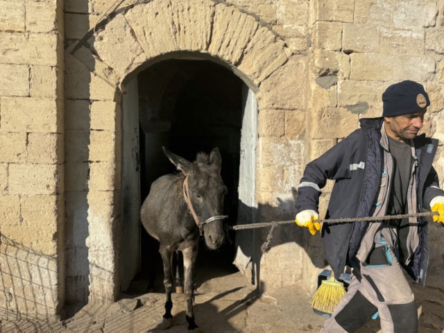 Mardin’de ’kadrolu’ eşekleri emekli edecek proje hayata geçiyor