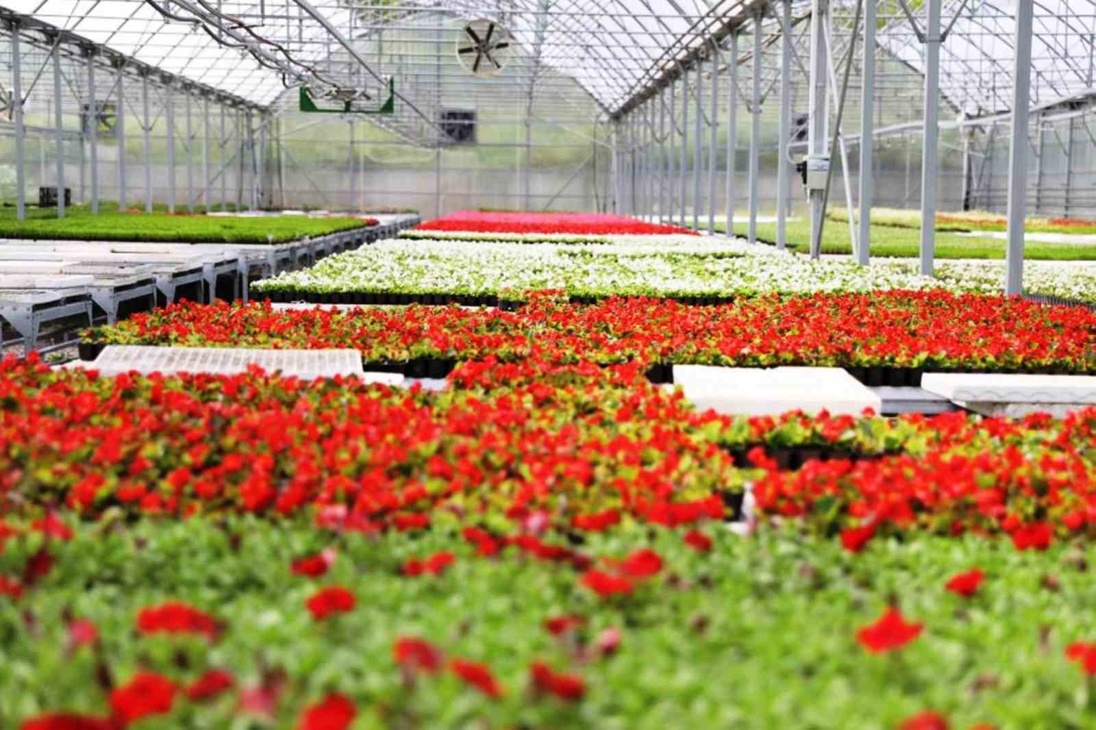 Samsun B&uuml;y&uuml;kşehir, enerjisini g&uuml;neşten karşılıyor
