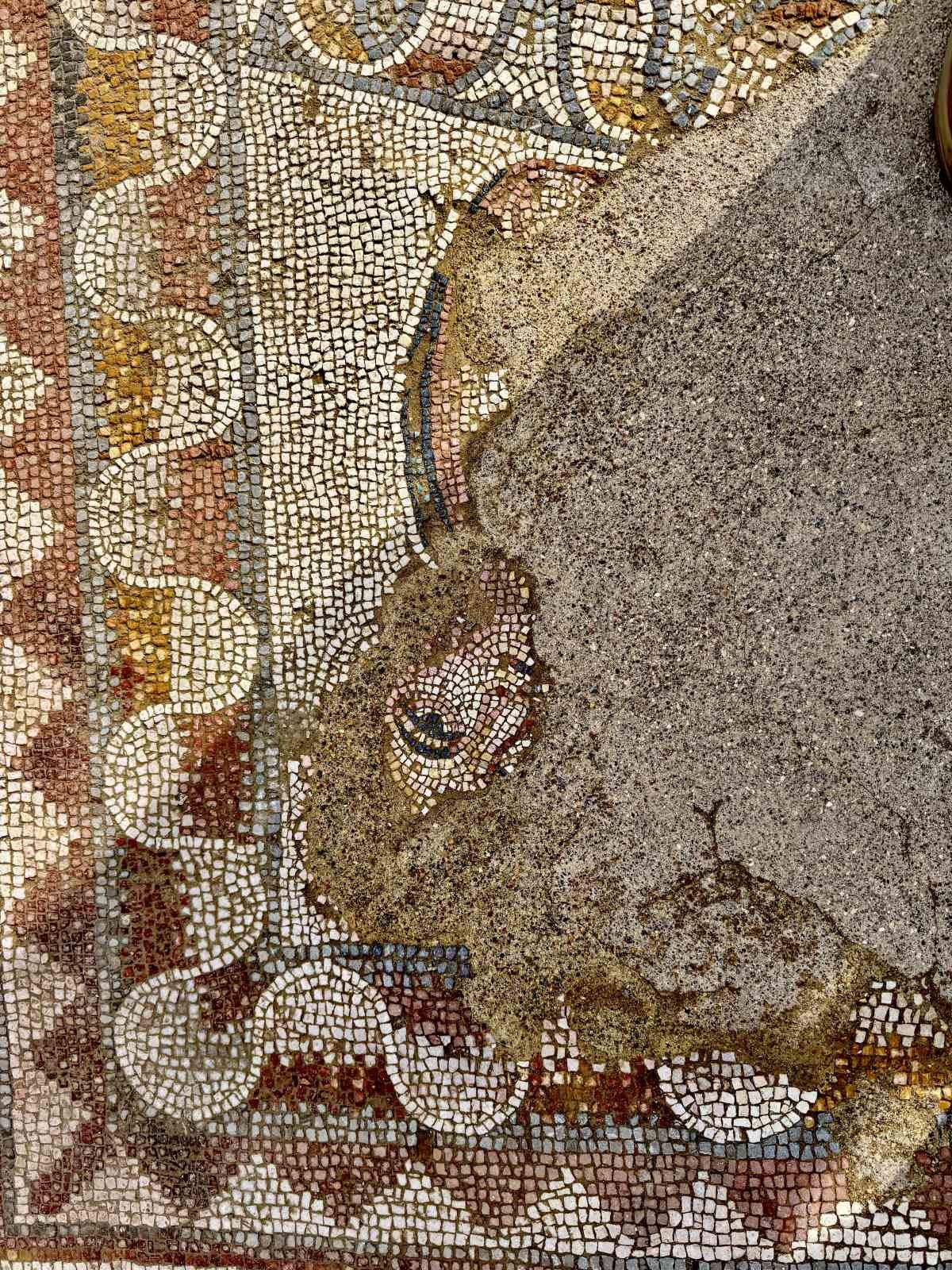 Hadrianopolis’te saray kompleksi ortaya çıktı: 4. yüzyıla ait eşsiz mozaikler bulundu