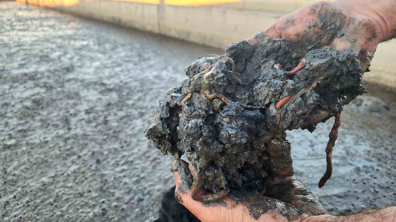 Çanakkale’deki deniz solucanları yetiştiriciliği tesisi sektörde tek