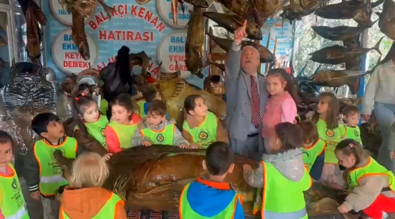 Minikler mumya balıkları büyük bir ilgiyle inceledi