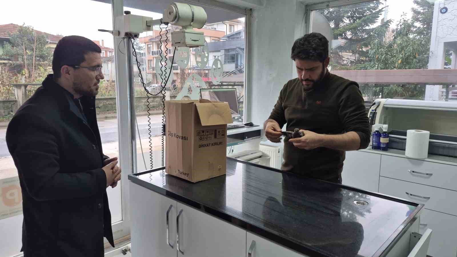 Duyarlı vatandaştan örnek davranış: Yolda bulduğu kumruya su verip veterinere teslim etti