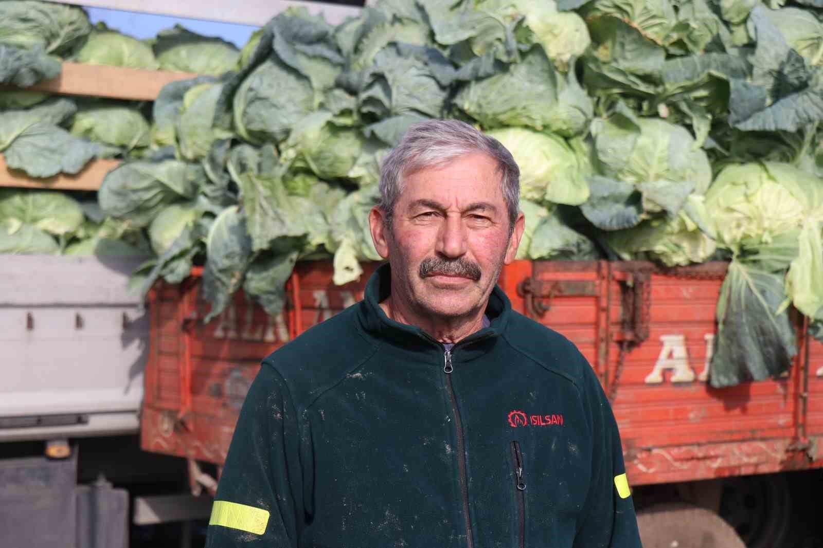 Turşuların başrol oyuncusu lahananın hasadına devam ediliyor
