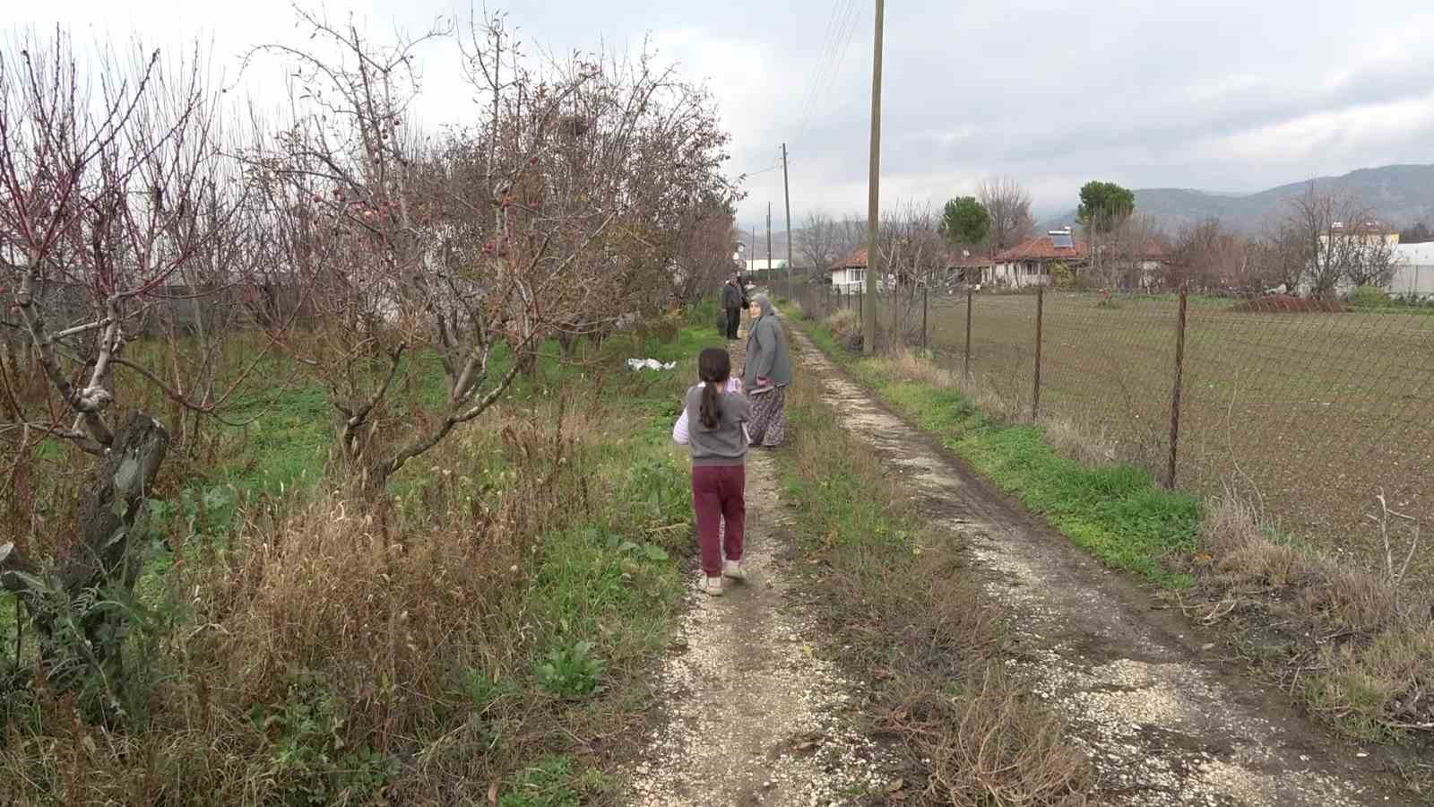 Amasyalı Feruziye nine serada kışın &uuml;z&uuml;m yetiştirip satıyor
