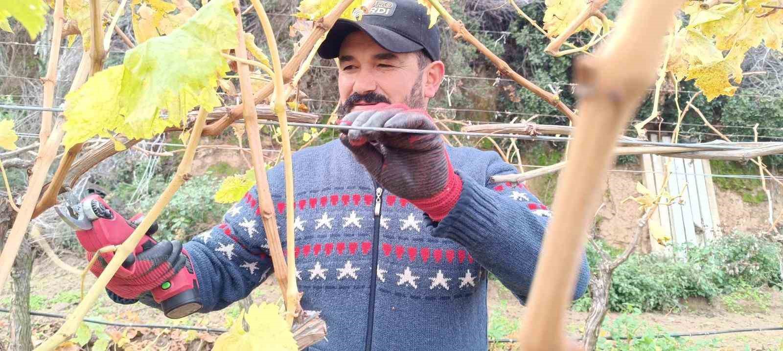 Budama maliyeti &uuml;reticiyi ailece bağa indirdi
