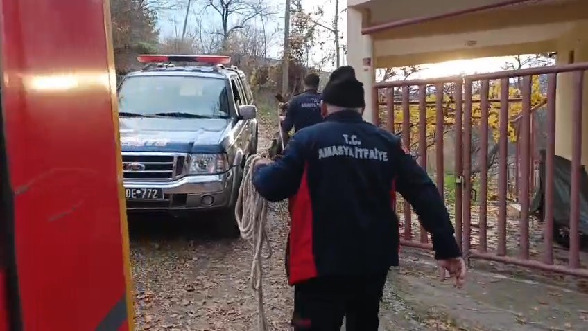 Boş havuza d&uuml;şen yavru karacayı itfaiyeciler kurtardı
