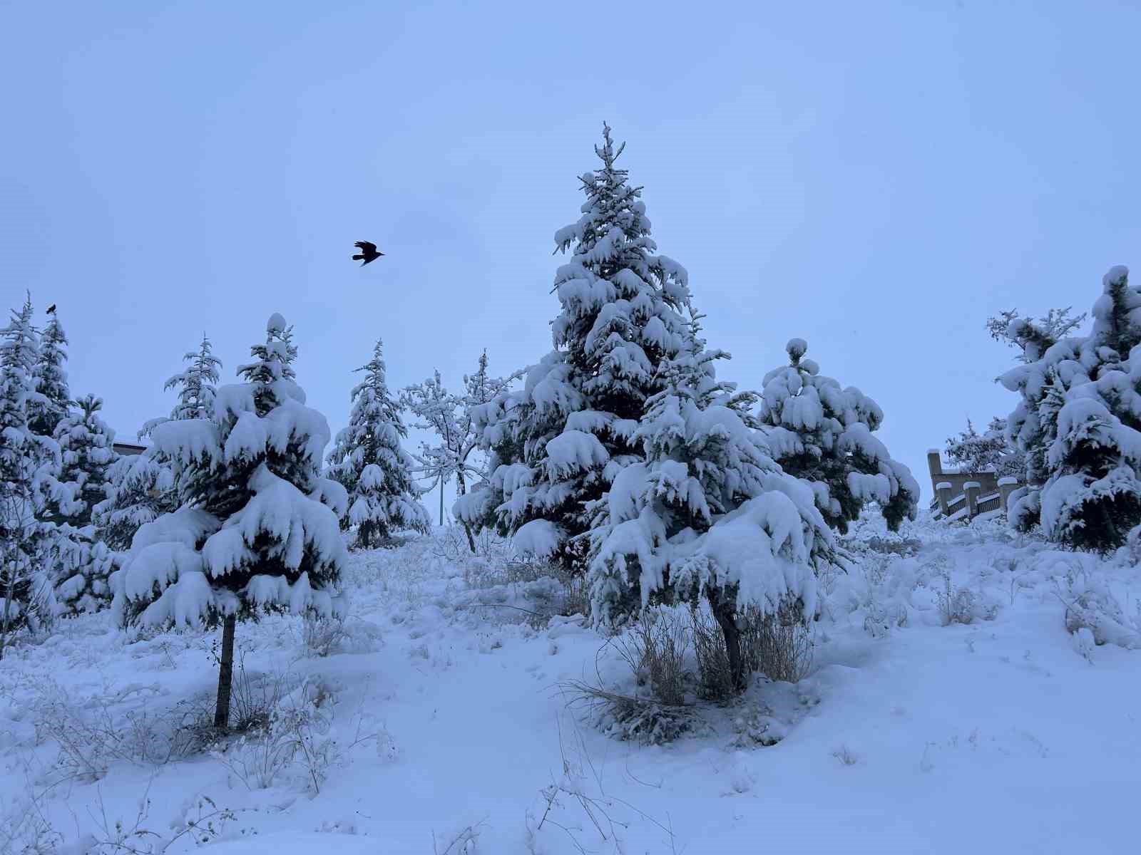 Van&rsquo;da yoğun kar yağışı: U&ccedil;ak seferleri r&ouml;tar yaptı
