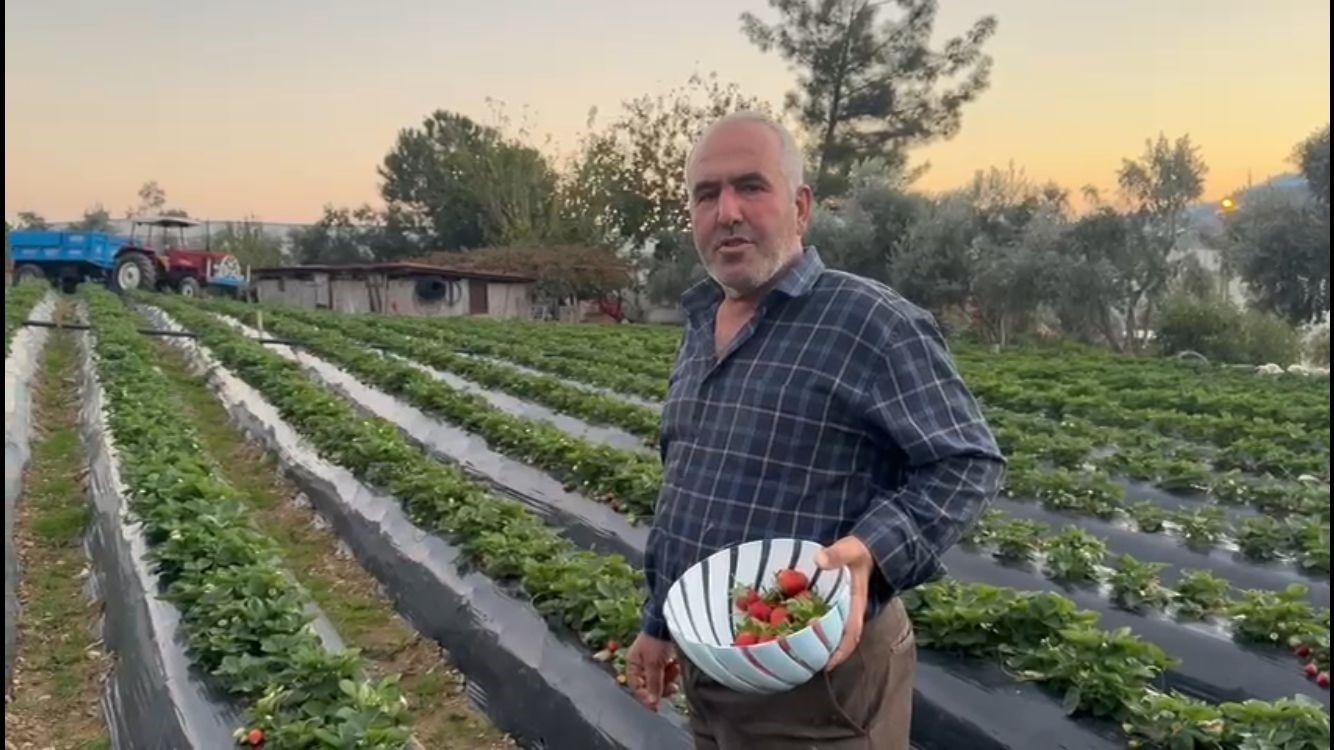 Mersin&rsquo;de &ccedil;ilekte kış hasadı: Bah&ccedil;ede kilogramı 130 TL
