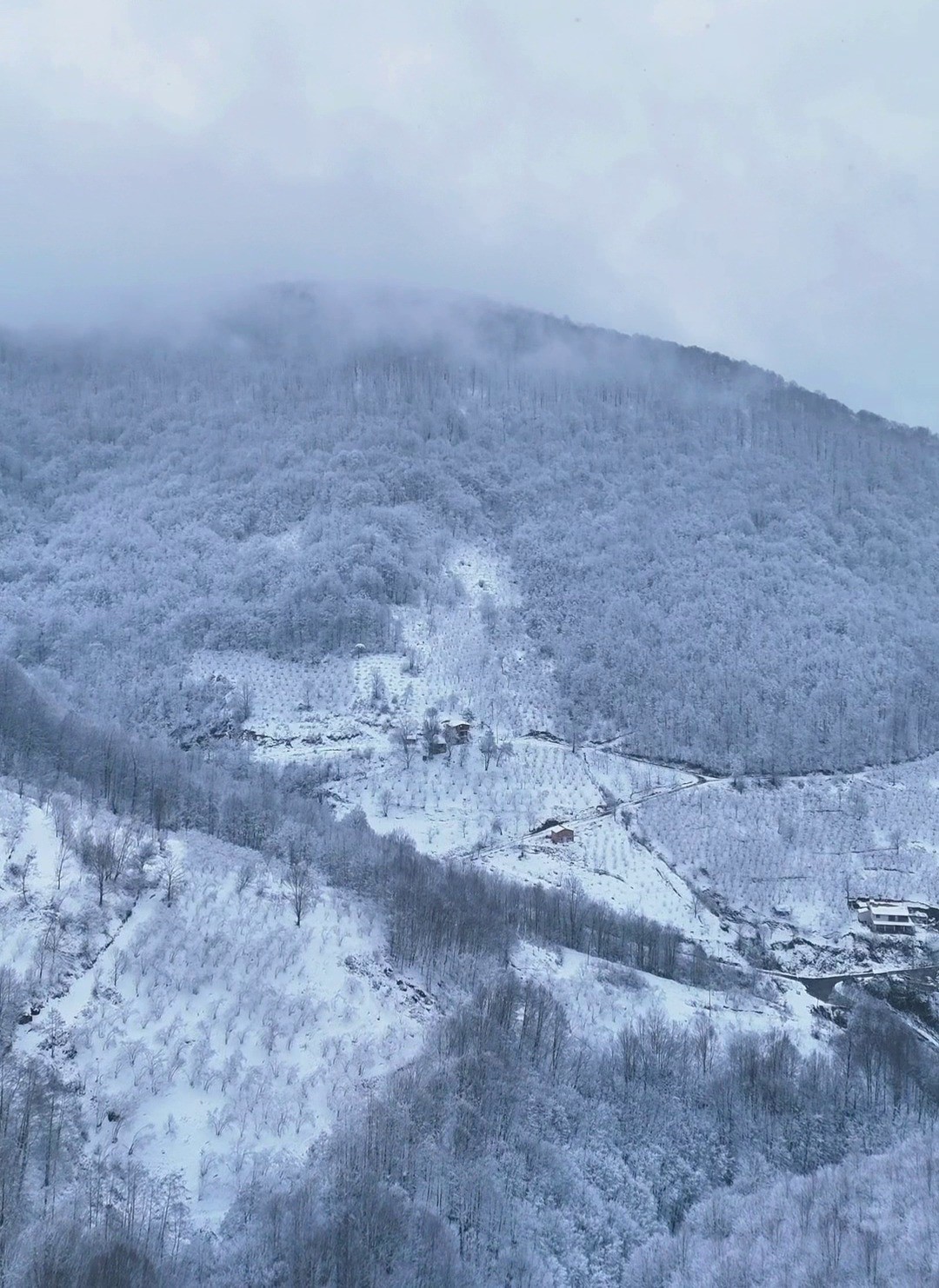 Samsun&rsquo;un zirveleri beyaza b&uuml;r&uuml;nd&uuml;
