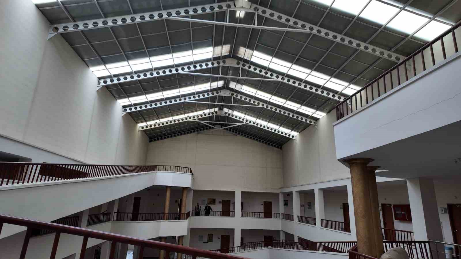 Ulu çınarların yuvası yenileniyor