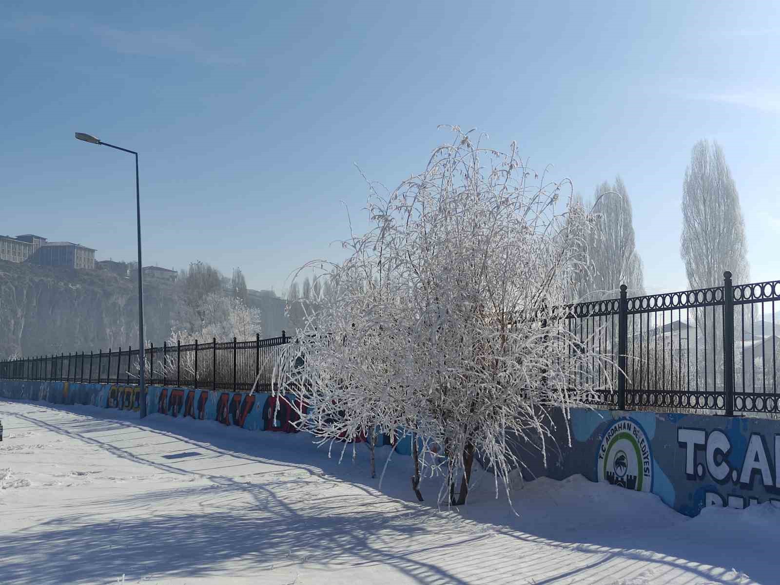 Göle eksi 16 dereceyi gördü, ağaçlar kırağı tuttu