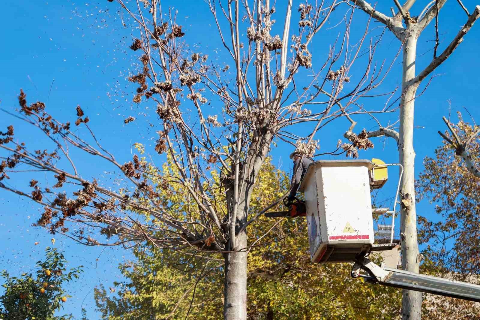 Aydınoğulları&rsquo;ndan g&uuml;n&uuml;m&uuml;ze uzanan manevi miras temizlendi
