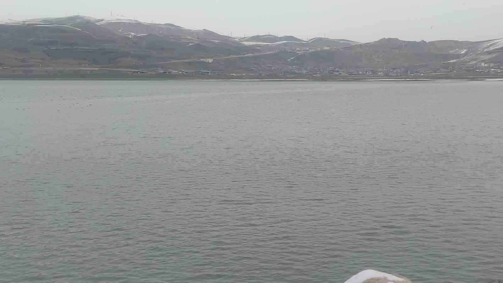 Sıhke Göleti’ne giren inek telef oldu