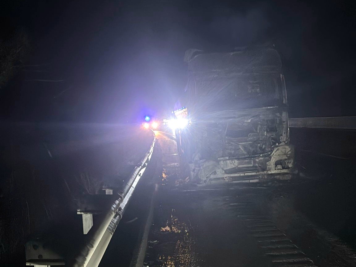 Seyir halindeki tankerde yangın çıktı alevler ormana sıçradı