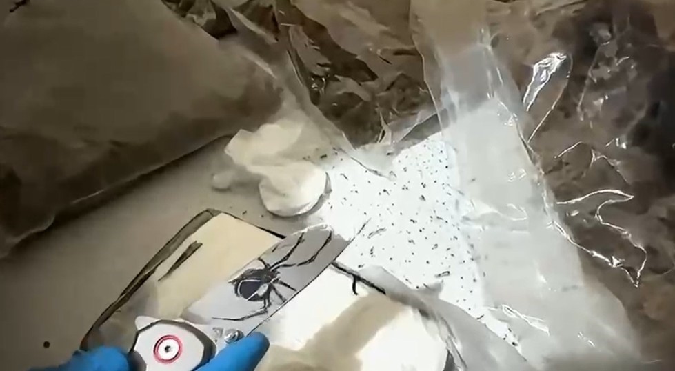 Antalya’da narkotik operasyonunda yüklü miktarda uyuşturucu ele geçirildi: 4 tutuklama