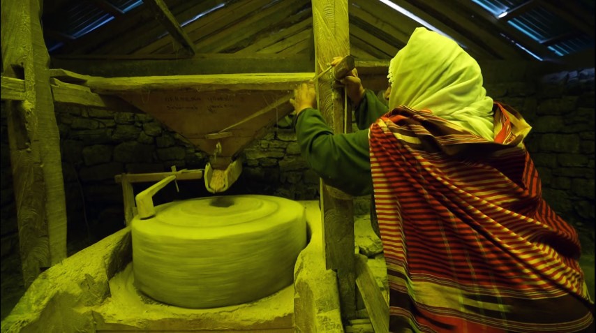 Tarihi değirmenler d&ouml;n&uuml;yor, mısır unu gurbet yollarına &ccedil;ıkıyor