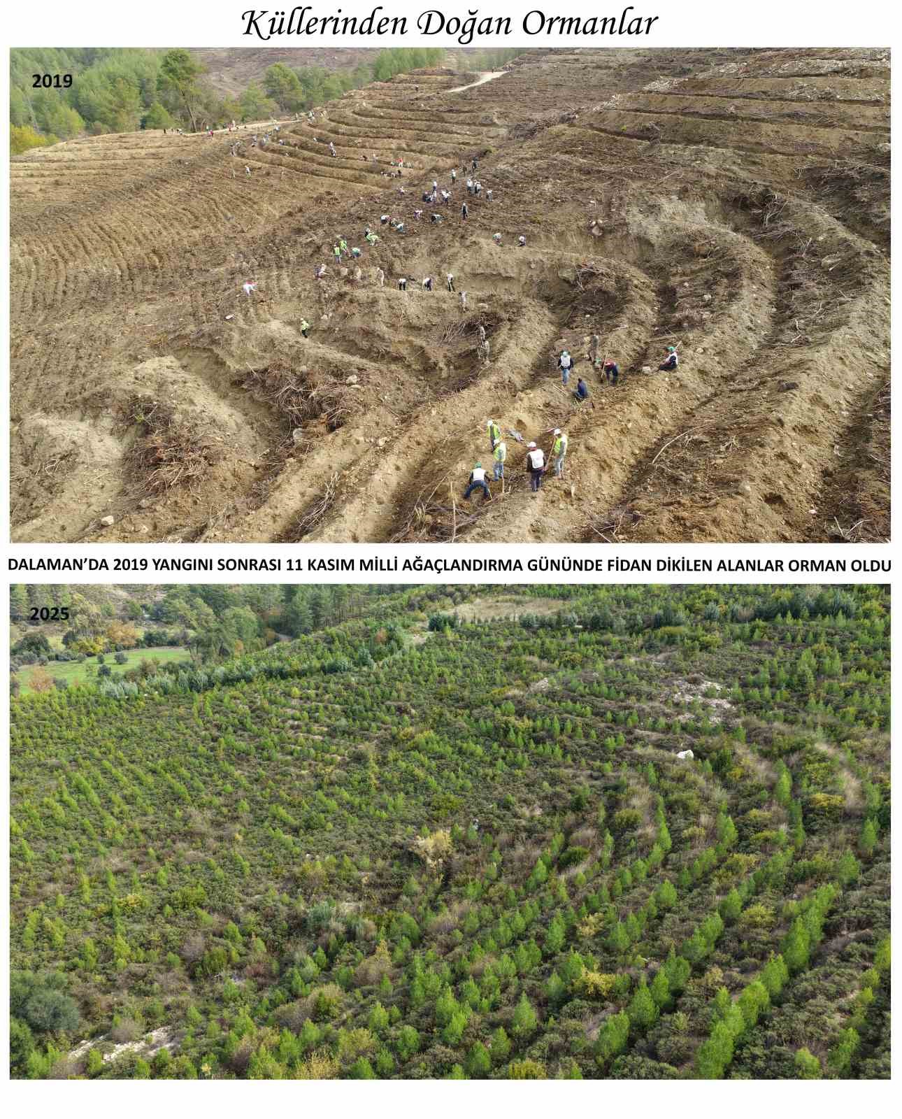 Kara tablo, 6 yılda yeşil &ouml;rt&uuml;ye d&ouml;n&uuml;şt&uuml;
