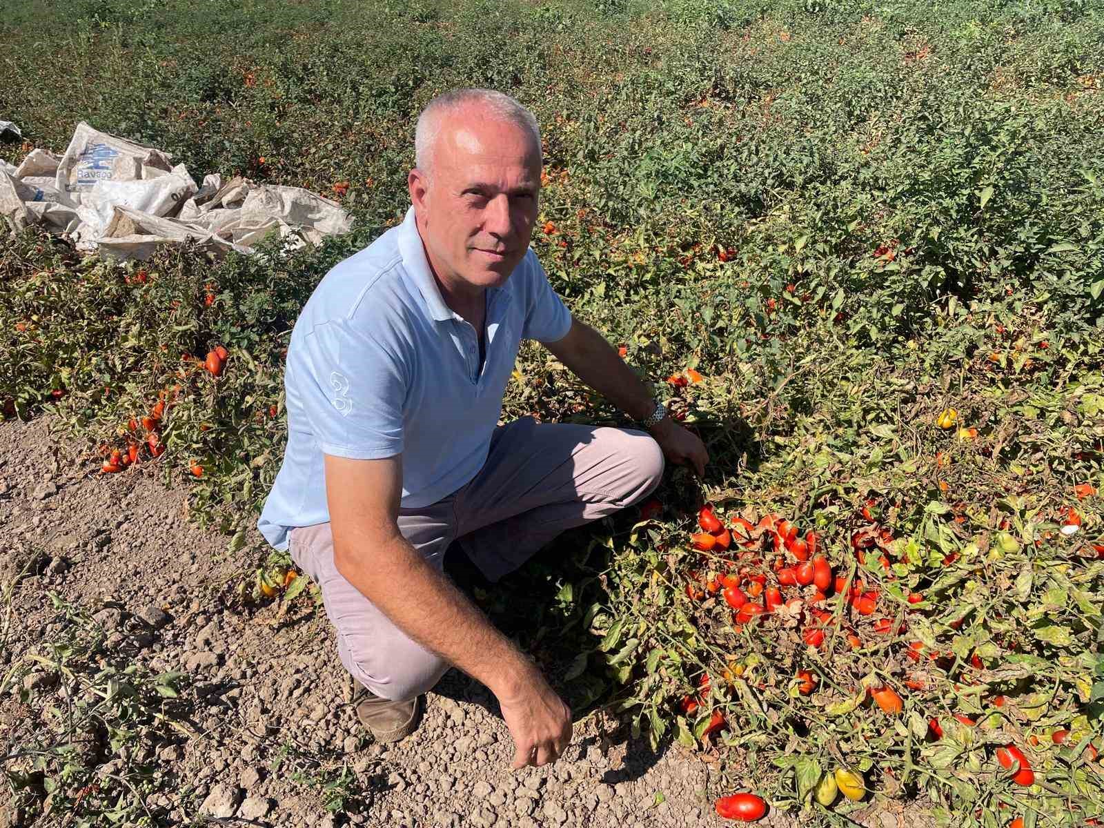 Dedesi se&ccedil;imde muhtar oldu adına "Se&ccedil;im" konuldu
