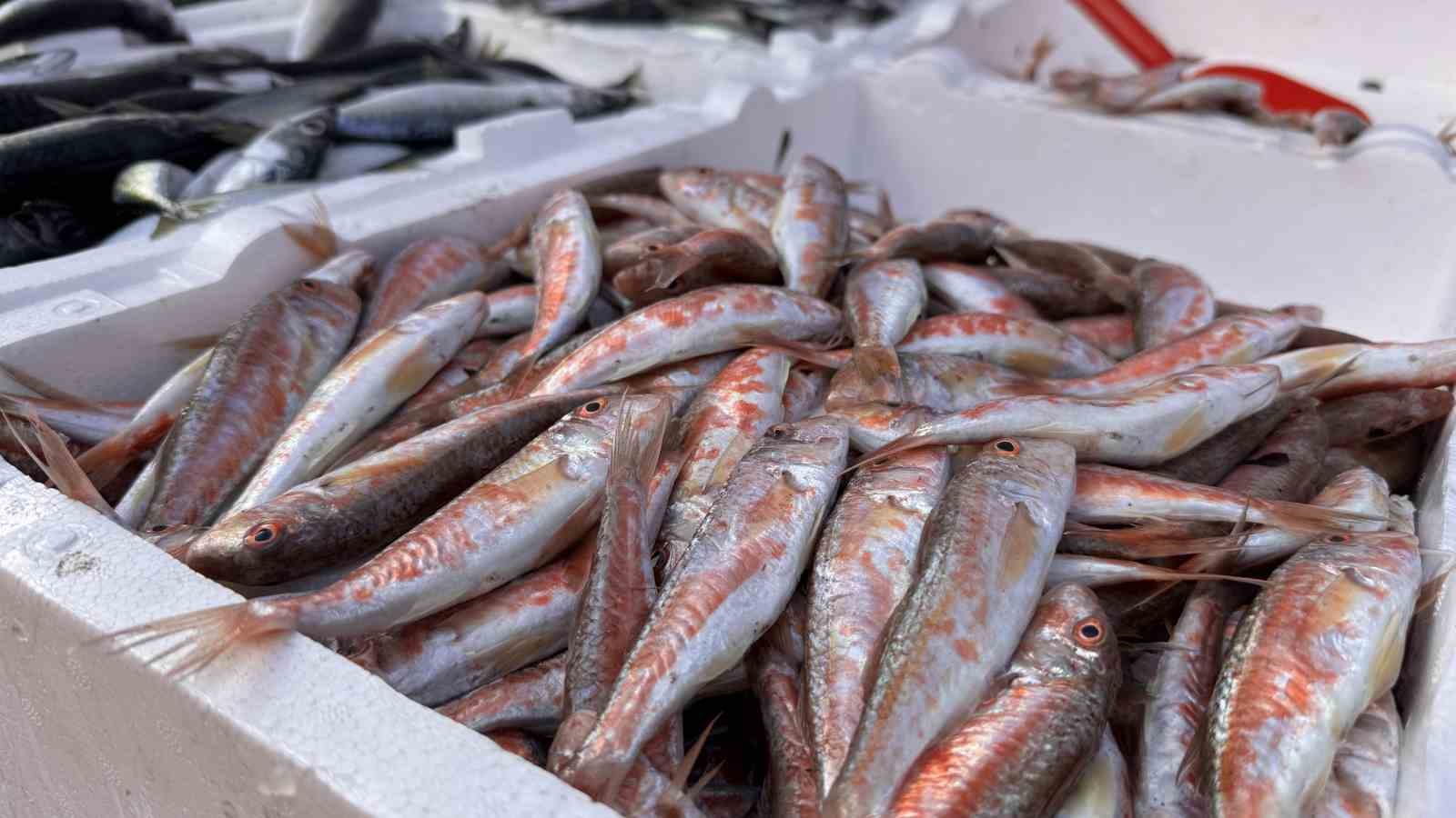 Zonguldak&rsquo;ta hamsi yoğunluğu yaşandı, palamut &ccedil;ıkmadı
