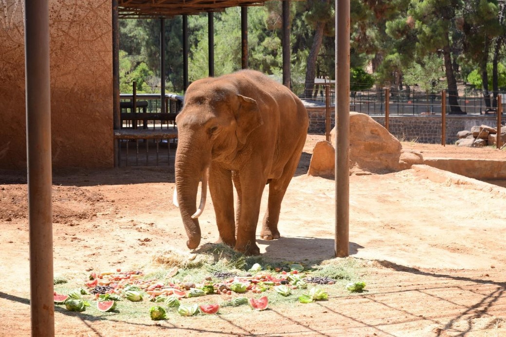 Fatma Şahin’den CHP’li Başarır’a yalanlama
