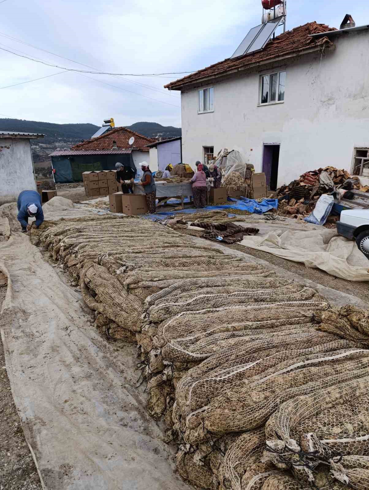 Selendi&rsquo;de t&uuml;t&uuml;nde hasat bitti, kolileme mesaisi başladı
