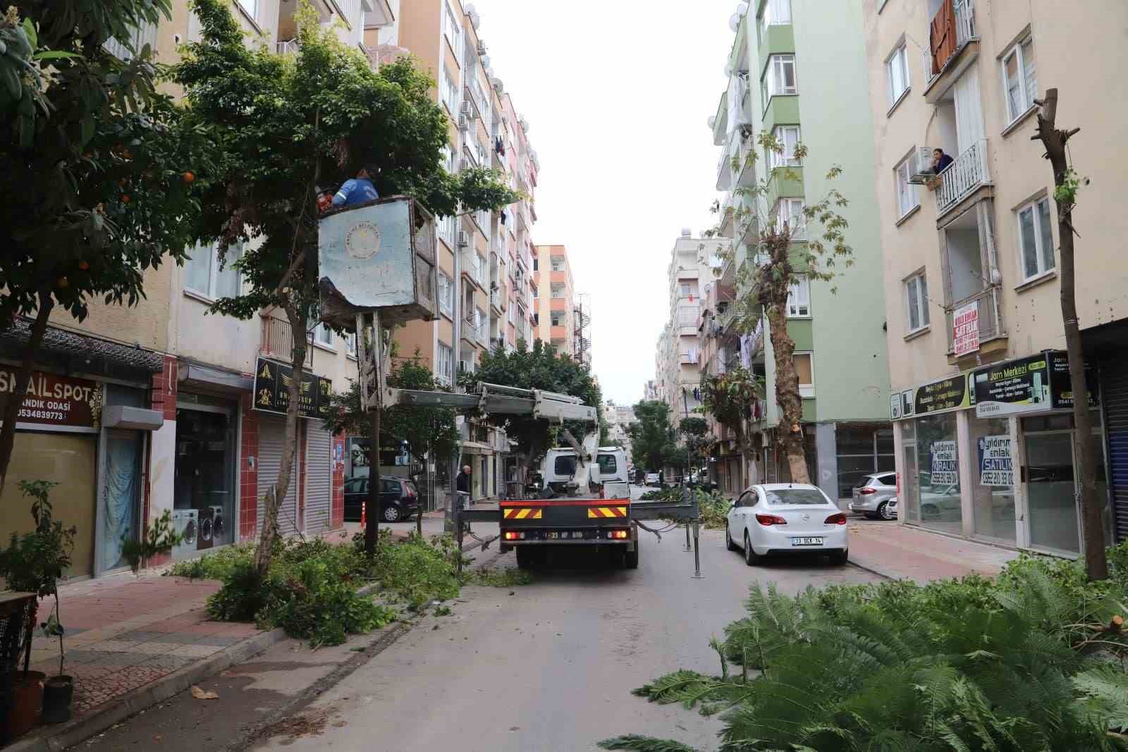 Mersin&rsquo;de ağa&ccedil;lara kış bakımı
