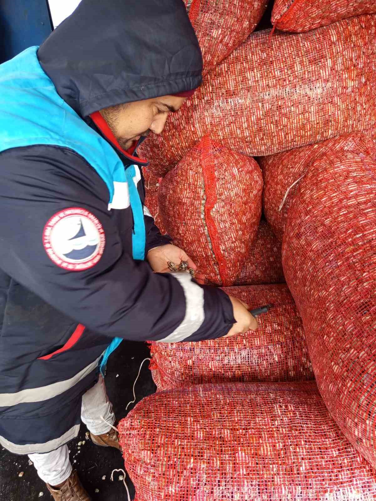 Karadeniz&rsquo;den &ccedil;ıkartılan beyaz kum midyesine sıkı denetim
