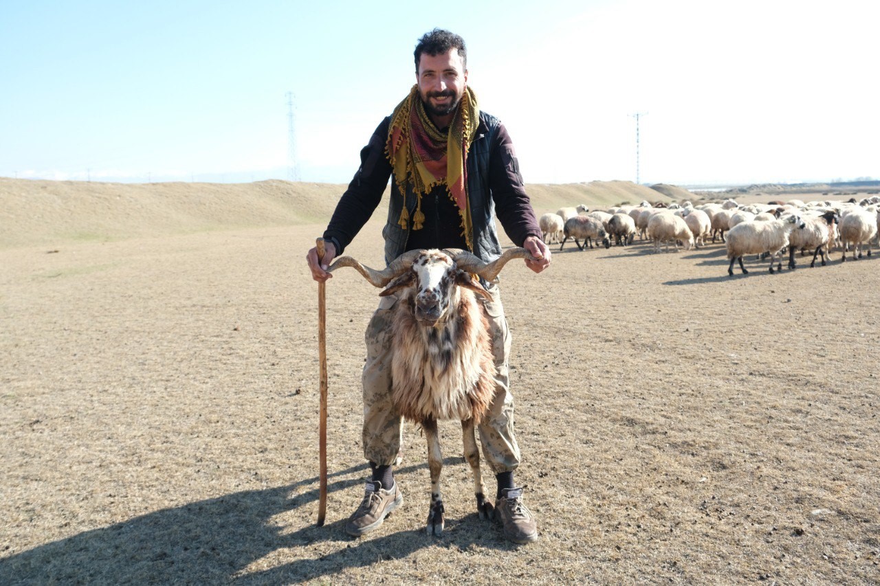 Erzincan&rsquo;da s&uuml;r&uuml;ler merada
