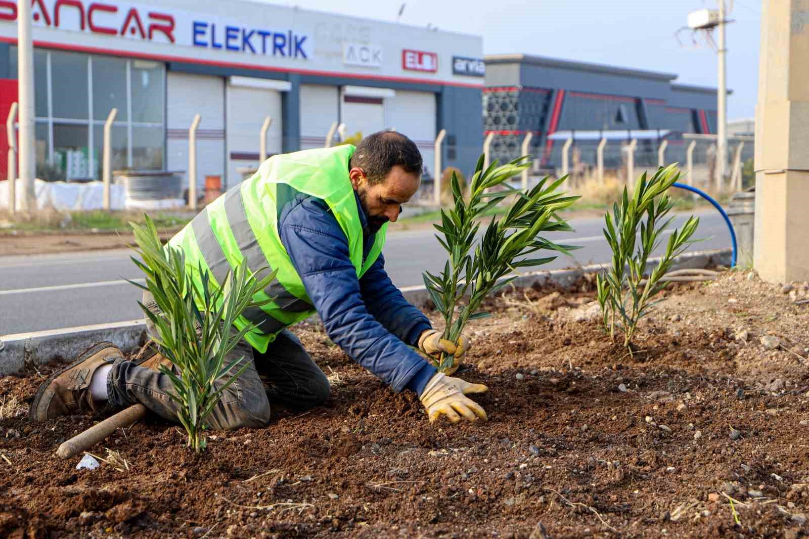 Diyarbakır&rsquo;ın 14 kilometrelik girişi ağa&ccedil;landırılıyor
