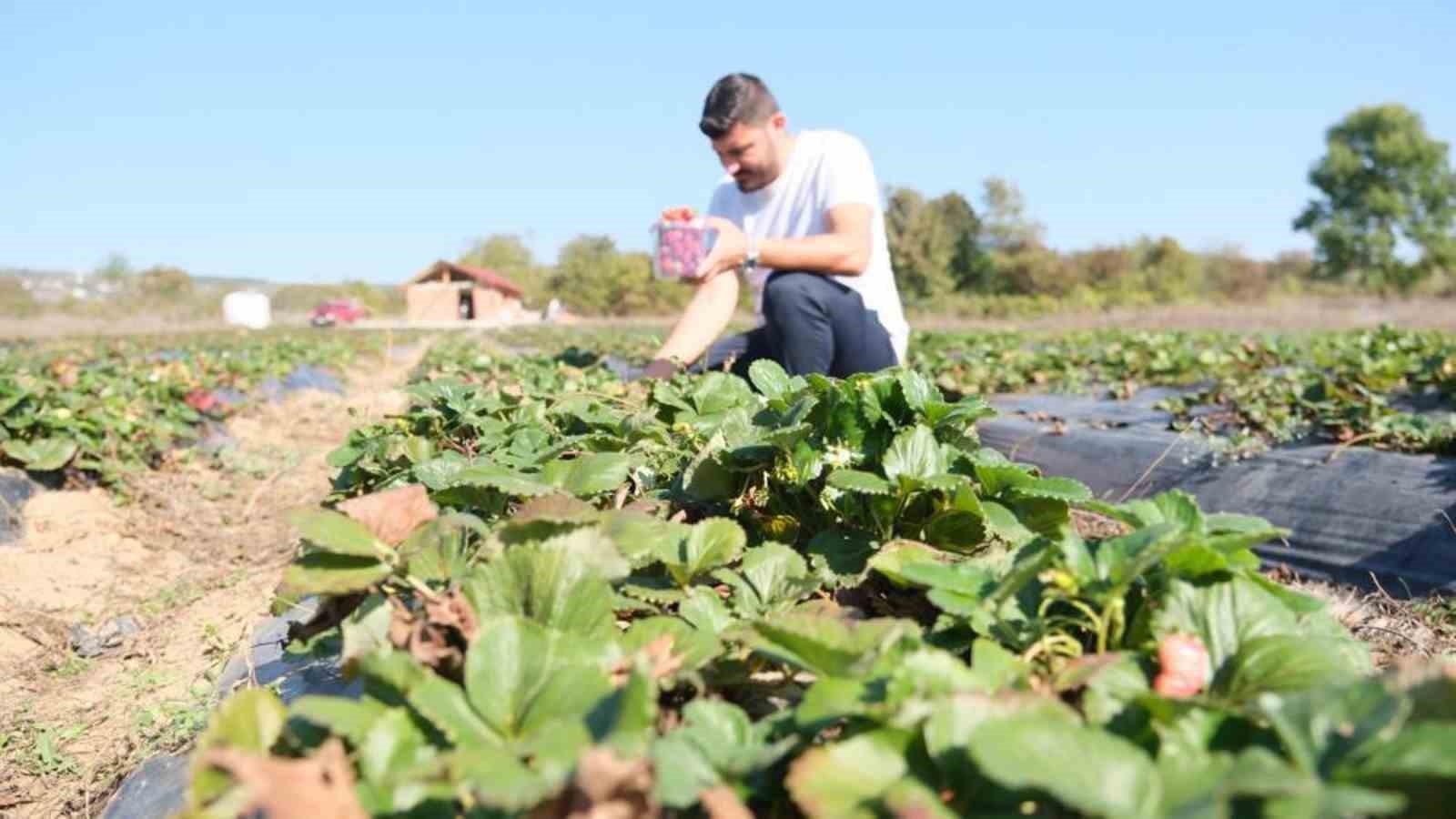 Samsun&rsquo;da bitkisel ve hayvansal &uuml;retim destekleniyor
