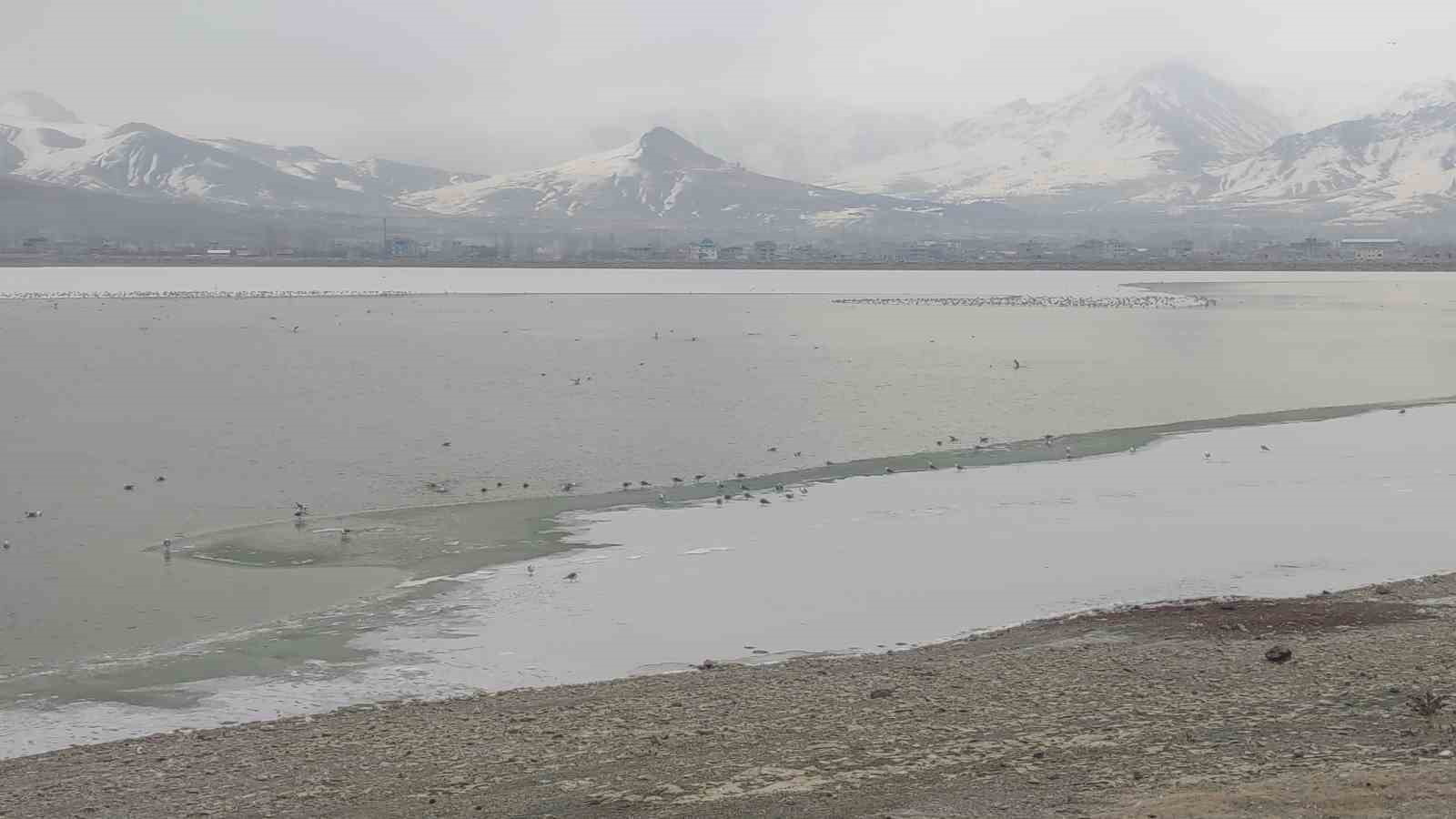 Van&rsquo;da Sibirya soğukları: Sıhke G&ouml;leti&rsquo;nin y&uuml;zeyi buz tuttu
